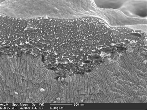 Preview for The Current Possibilities and Limitations of Thermofuse Digital Printing Plate Technology