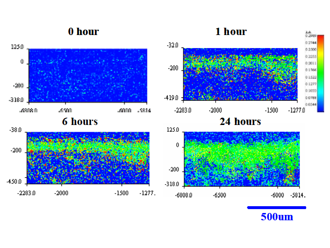 Preview for Evaluation of Penetration of Acrylate into Printing Blankets by Confocal Laser Scanning Microscopy