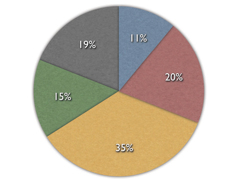 Preview for The Investigation of the Effect of Raw Materials in Packaging Costs