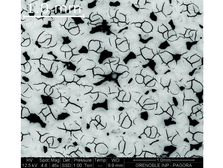 Preview for The Relevance of Printing Processes in Proton Exchange Membrane Fuel Cell Manufacturing