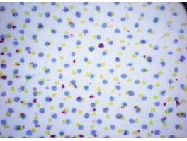 Preview for Ink Enables Increased Efficiency in Flexographic Printing