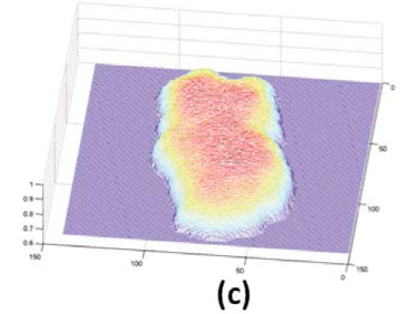 Preview for Optical Dot Gain Study on Different Halftone Dot Shapes
