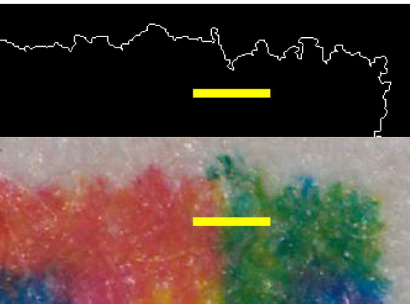 Preview for Forensic Markings for Progressive Barcodes