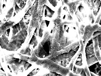 Preview for Evaluating the Printability Characteristics of the Paper Board by Using Nano Fibers Based Coatings