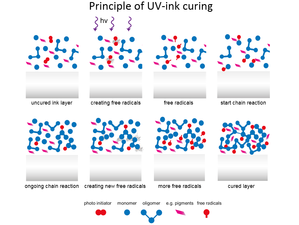 Preview for Determination of the UV-curing Degree of Thin Films by Crosslinking Byproducts of Reacted Photo Initiators in the UV-A & VIS-region of the Spectra with Actual Polymerization Degrees Obtained from NIR-readings