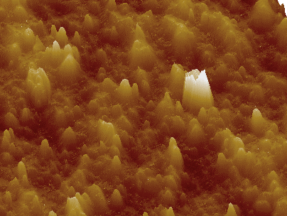 Preview for Printability Analysis of Flexographic Printing On Compostable Films