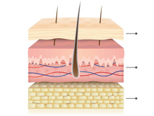 Preview for 3D Printing of Biocompatible Materials Targeted for the Skin: Technological Survey Report and Business Intelligence